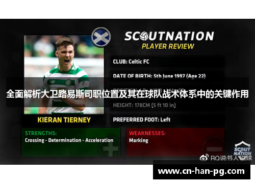 全面解析大卫路易斯司职位置及其在球队战术体系中的关键作用