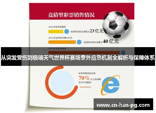 从突发受伤到极端天气世界杯赛场意外应急机制全解析与保障体系